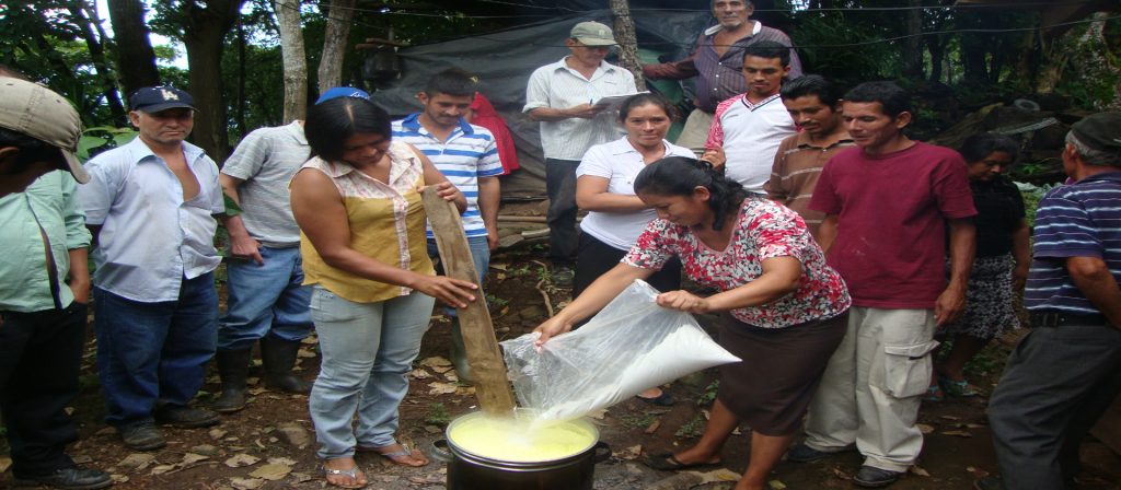 El impulso de las mujeres rurales de Cuscatlán-Cabañas en el fortalecimiento de la soberanía alimentaria y el feminismo salvadoreño