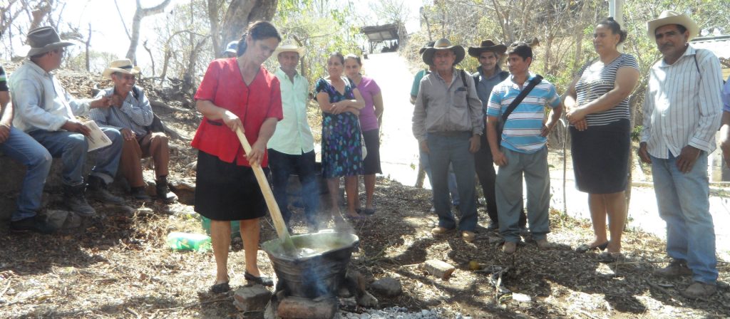 Promoviendo la agricultura sostenible y la conservación de los recursos naturales