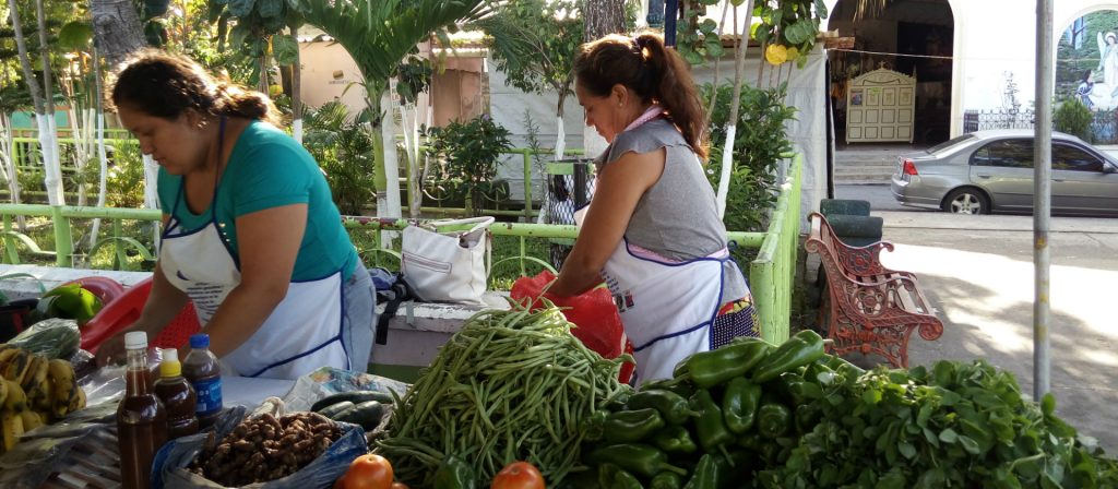 Feria meteorológica cordes región II