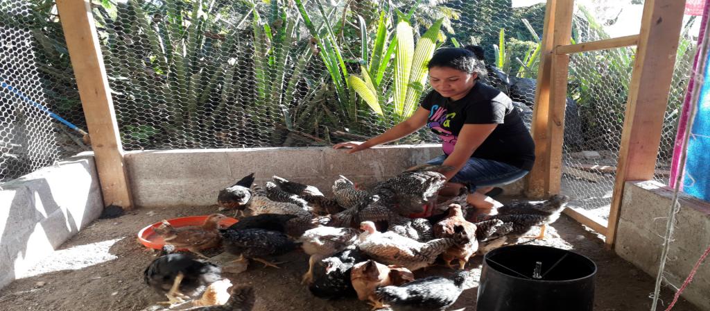 Contribución de la avicultura familiar a la Soberanía Alimentaria y a la equidad de género en El Salvador.