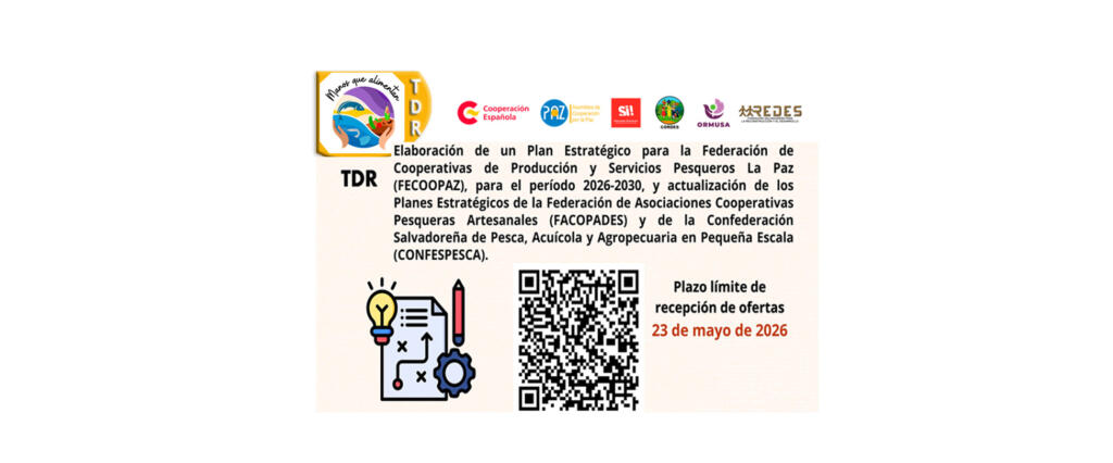 TDR: Diseño de Plan Estratégico de FECOOPAZ y actualización de Planes Estrátegicos de FACOPADES y CONFESPESCA