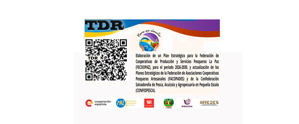 TDR. Plan Estratégico para la Federación de Cooperativas de Producción y Servicios Pesqueros La Paz, de R.L. (FECOOPAZ de R.L.),